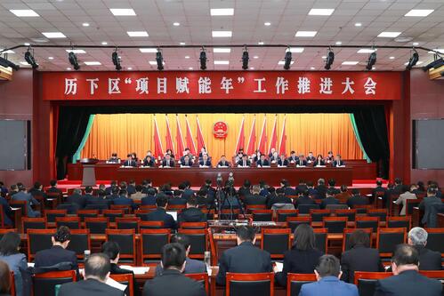 我区召开“项目赋能年”工作推进大会