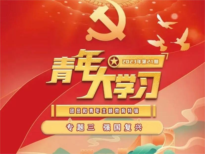 青年大学习  强国复兴（团员和青年主题教育特辑）