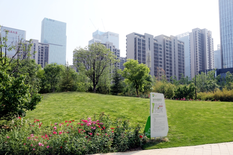 CBD迷你游园共享绿地2.JPG